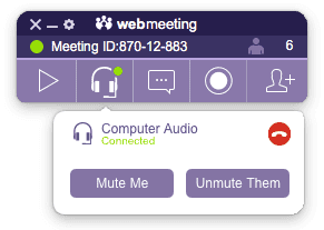 web meeting computer audio