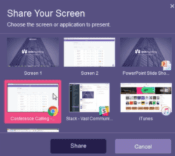 web meeting screen share