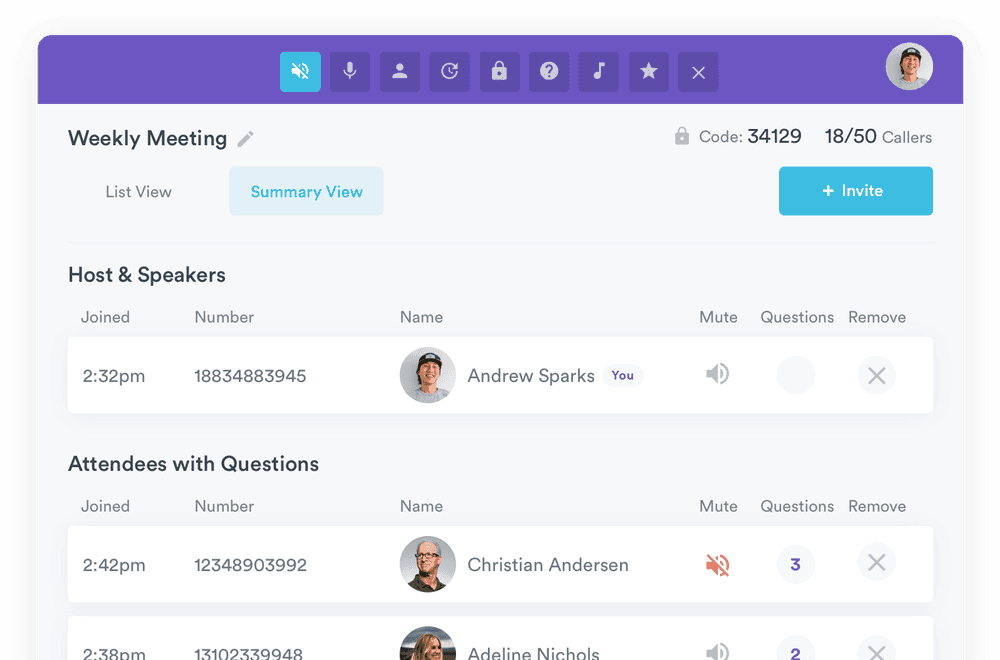 managing the audio conference